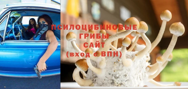 стафф Баксан