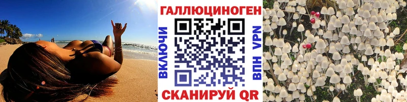 Псилоцибиновые грибы Cubensis  Афипский 
